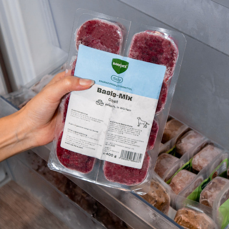 Hand hält 400g Verpackung vom BARFER’S Würfel Basis-Mix Obst mit 8 gefrorenen 50g-Würfeln über ein geöffnetes Gefrierfach – Ergänzungsfuttermittel aus Apfel, Rote Beete, Möhre, Gurke, Banane, Kürbis und Spinat