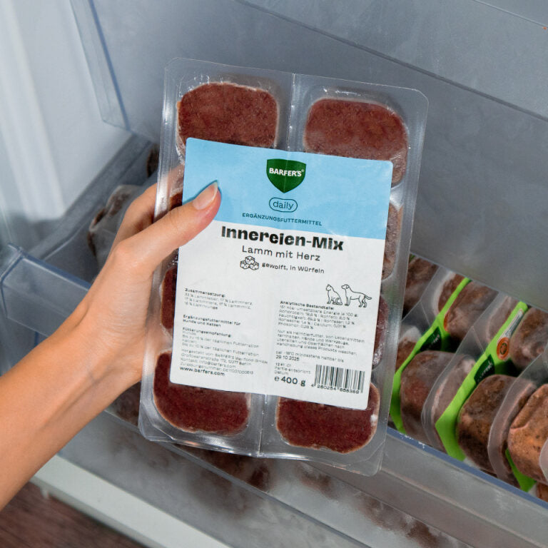 Hand hält 400g Verpackung vom BARFER’S Würfel Innereien-Mix Lamm mit Herz für Hunde und Katzen mit 8 gefrorenen 50g-Würfeln über ein geöffnetes Gefrierfach – Ergänzungsfuttermittel aus Lammleber, Lammherz, Lammniere, Lammmilz und Lammlunge