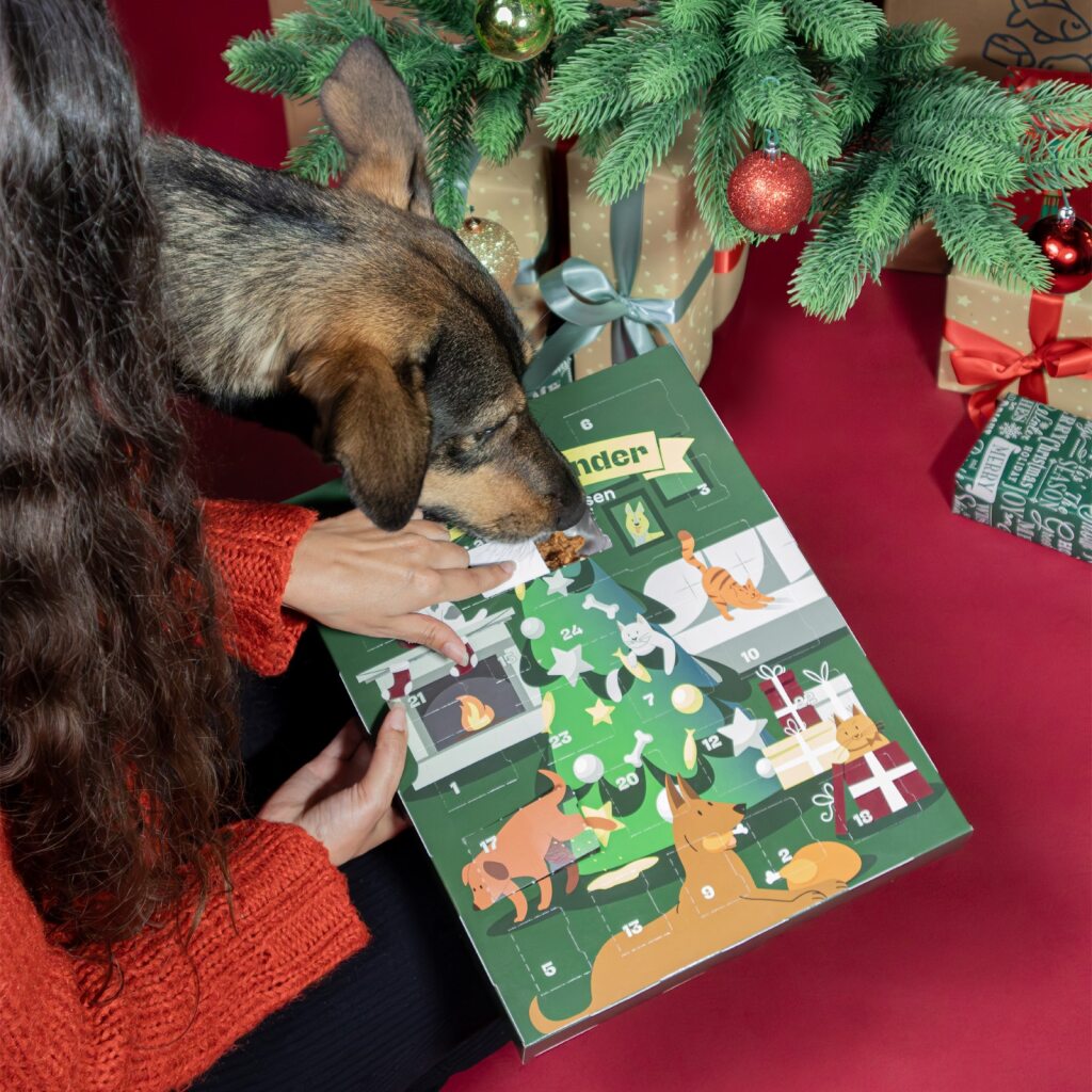 Ein Hund nascht aus dem BARFER’S Knabberkalender, den seine Halterin unter einem geschmückten Weihnachtsbaum hält – festliche Stimmung mit Geschenkpapier und Baumkugeln