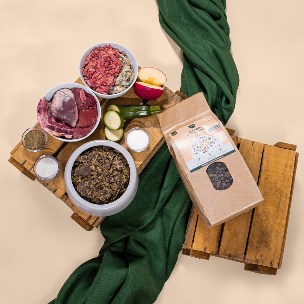 BALF-Mix Lamm für Hunde