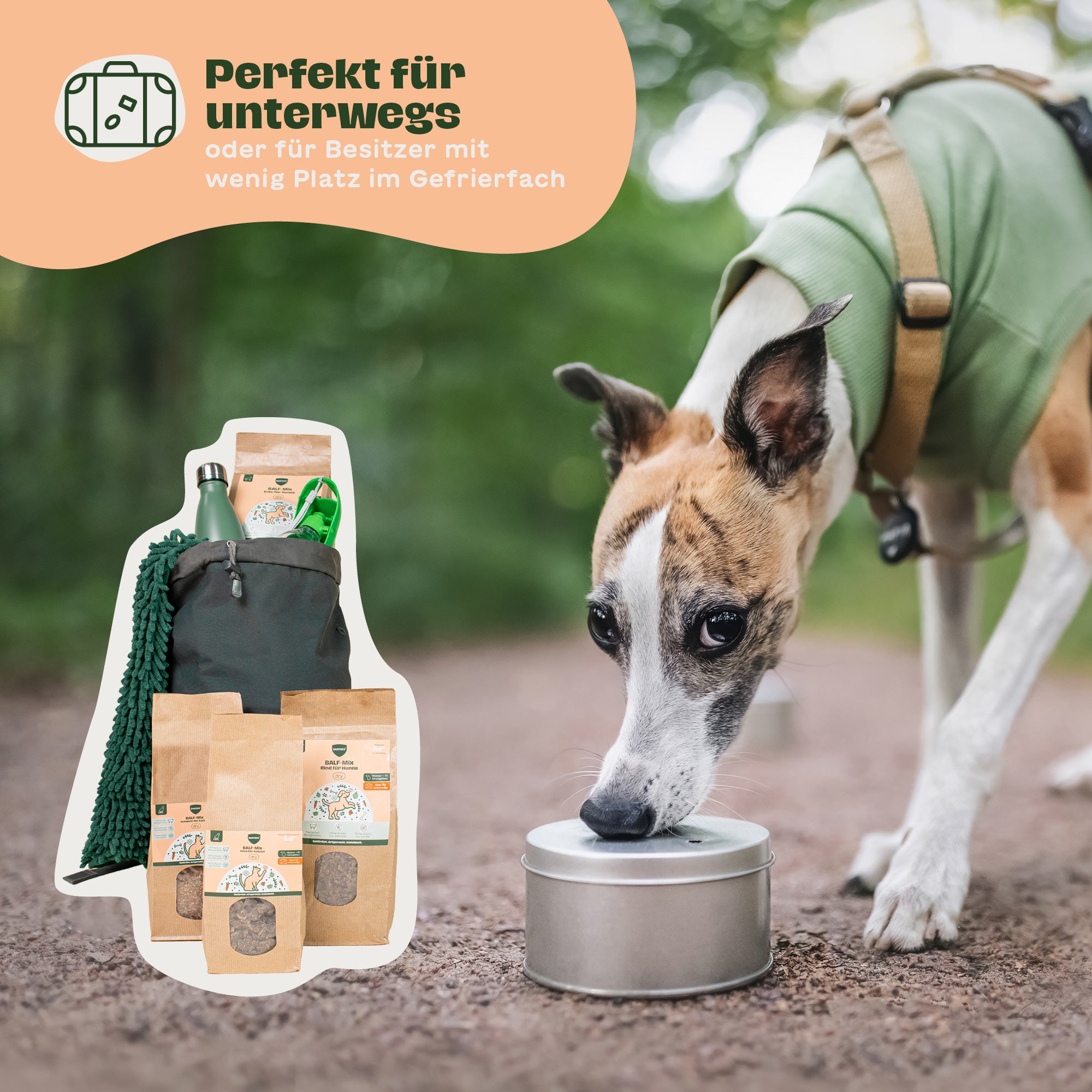 Hund beschnuppert Napf im Freien, daneben Rucksack mit verschiedenen Packungen des BARFER’S BALF-Mix Rind für Hunde – ideal für unterwegs oder bei wenig Platz im Gefrierfach