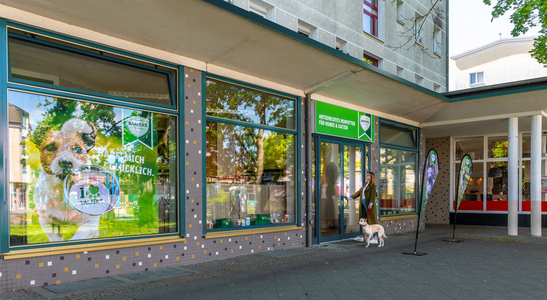 Eine junge Frau steht mit einem angeleinten mittelgroßen beigen Hund vor dem BARFER'S Store in Potsdam. Sie hat die rechte Hand am Türgriff und ist kurz davor, zum BARF kaufen in den Laden zu gehen.