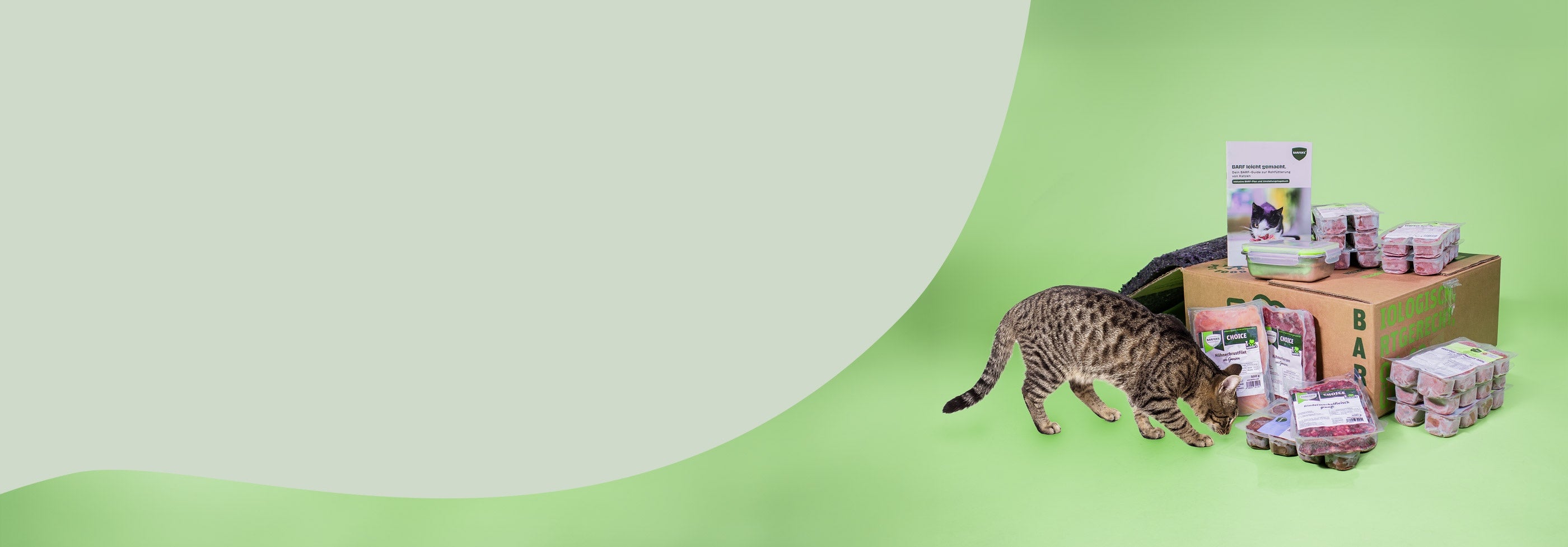 Katze schnuppert an BARFER’S Probierpaket für Katzen mit verschiedenen BARF-Produkten, Würfelportionen und Versandkarton vor grünem Hintergrund