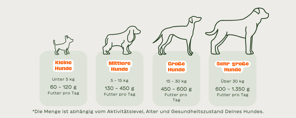 Futterbedarf für Hunde nach Gewicht: Übersicht zu kleinen, mittleren, großen und sehr großen Hunden in Grafik