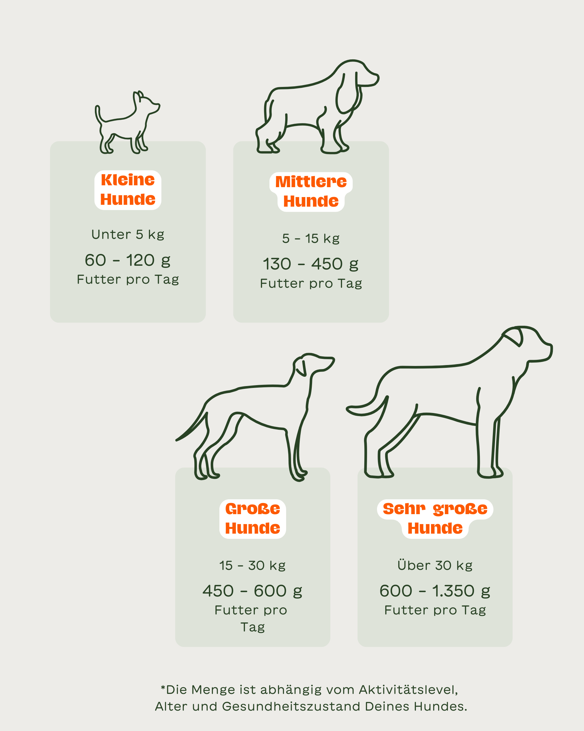 BARF Futtermenge für Hunde nach Gewicht: kleine, mittlere, große und sehr große Hunde im Überblick