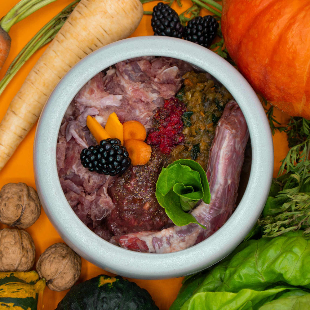 Herbstlich dekorierter Hundenapf mit BARF-Zutaten von BARFER'S– sichtbar sind frisches Truthahnmuskelfleisch, ein Entenhals, Rinderinnereien, püriertes Gemüse, dazu Kürbis, Brombeeren, Walnüsse und Möhrenscheiben, auf orangefarbenem Hintergrund
