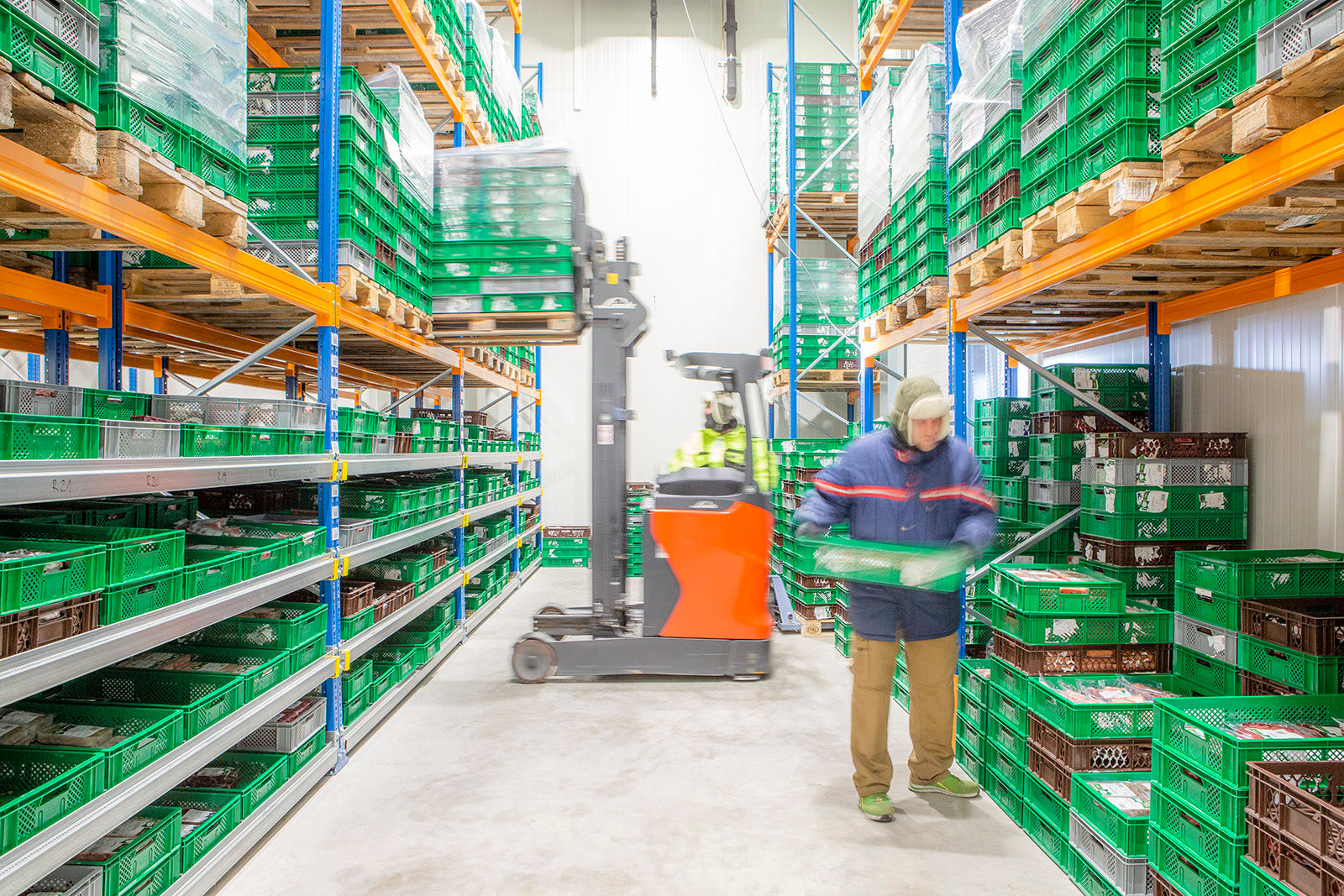 BARFER'S Mitarbeiter im Kühlhaus sortiert grüne Kisten mit BARF-Fleischprodukten, während im Hintergrund ein Gabelstapler Paletten bewegt