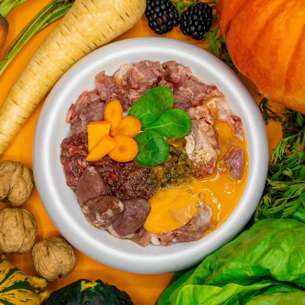 Herbstlich dekorierter Napf mit BARF-Zutaten für Katzen aus Geflügel und Rind – sichtbar sind Hühnerherzen, Hühnerhälse, Rinderinnereien, Truthahnmuskelfleisch, püriertes Gemüse mit Kürbis, Möhren und Spinat, garniert mit frischen Spinatblättern auf orangefarbenem Hintergrund