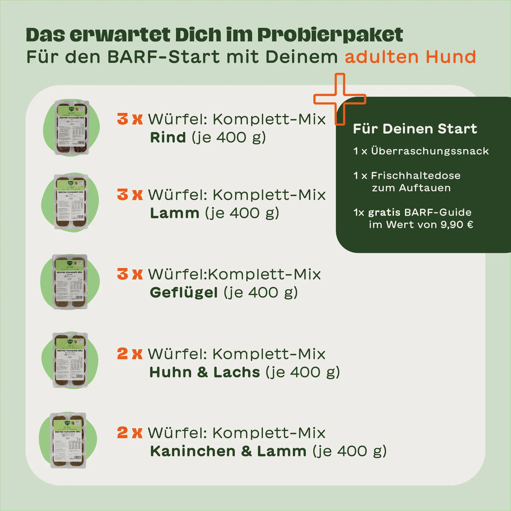 Infografik mit 5 Produktabbildungen der 400g-Würfelpackungen: Je 3x Komplett-Mix Rind, Lamm und Geflügel, je 2x Huhn & Lachs sowie Kaninchen & Lamm. Rechts daneben: 1 Überraschungssnack, 1 Frischhaltedose zum auftauen, 1 gratis BARF-Guide im Wert von 9,90 €. Überschrift: Das erwartet Dich im Probierpaket - Für den BARF-Start mit Deinem adulten Hund