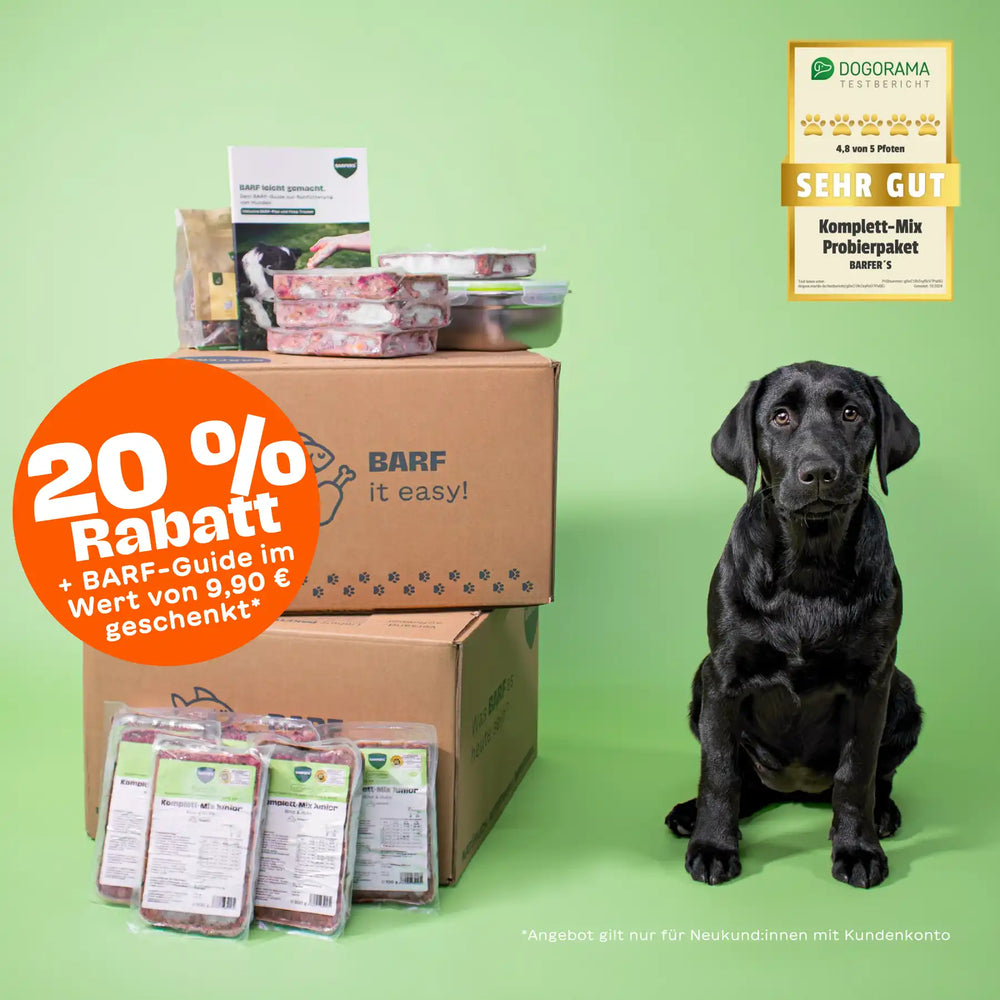 Schwarzer Labrador Welpe sitzt neben einem Paket mit BARFER’S Komplett-Mix Junior Rind & Huhn, darauf BARF-Guide, Frischhaltedose, Leckerli, Rabatt-Badge mit 20 % und Hinweis auf Dogorama-Testurteil Sehr Gut (4,8 von 5 Pfoten)