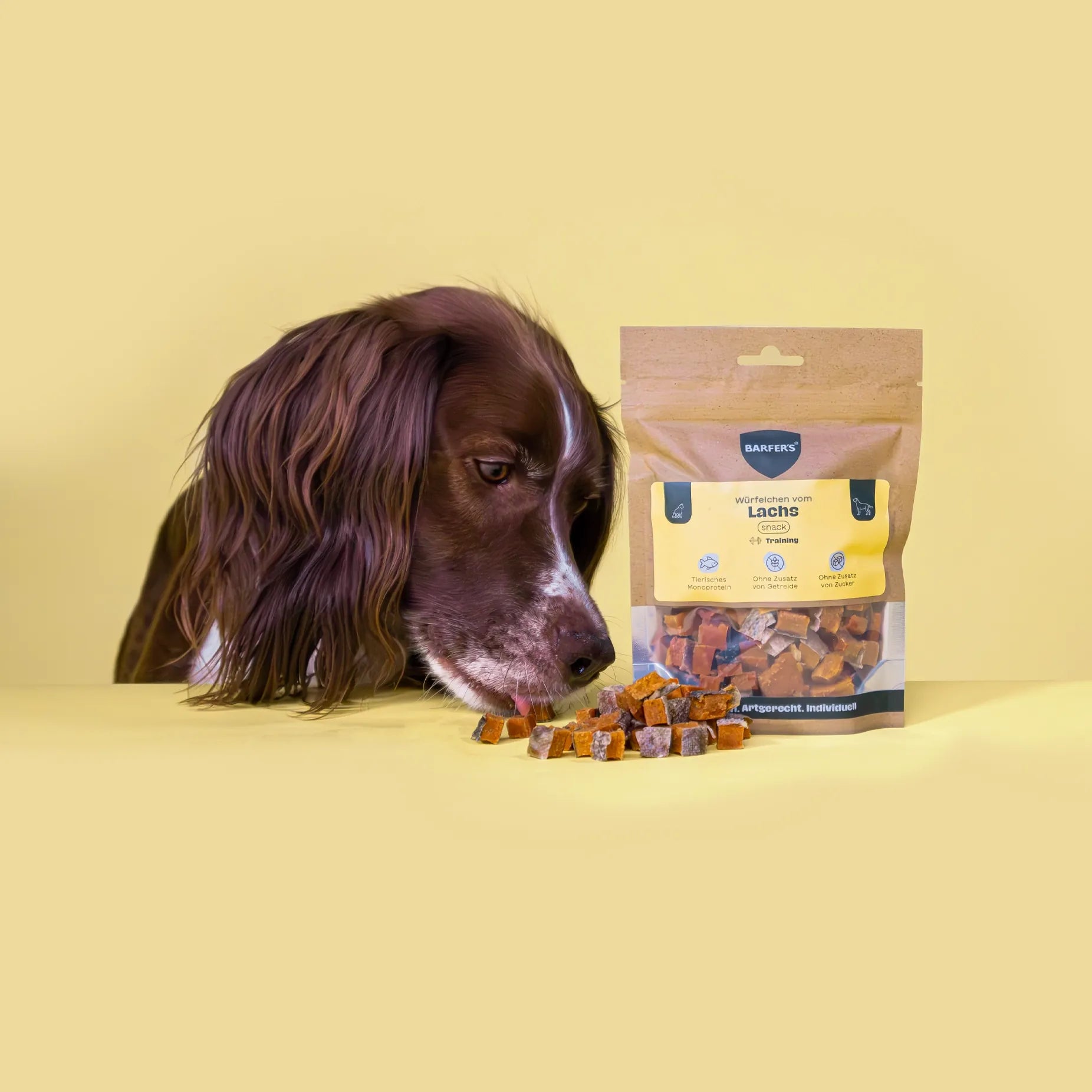 Ein braun-weißer Hund beschnuppert und leckt an Leckerli vom Lachs der Marke BARFER'S, die neben einer vollen Verpackung "Würfelchen vom Lachs" liegen