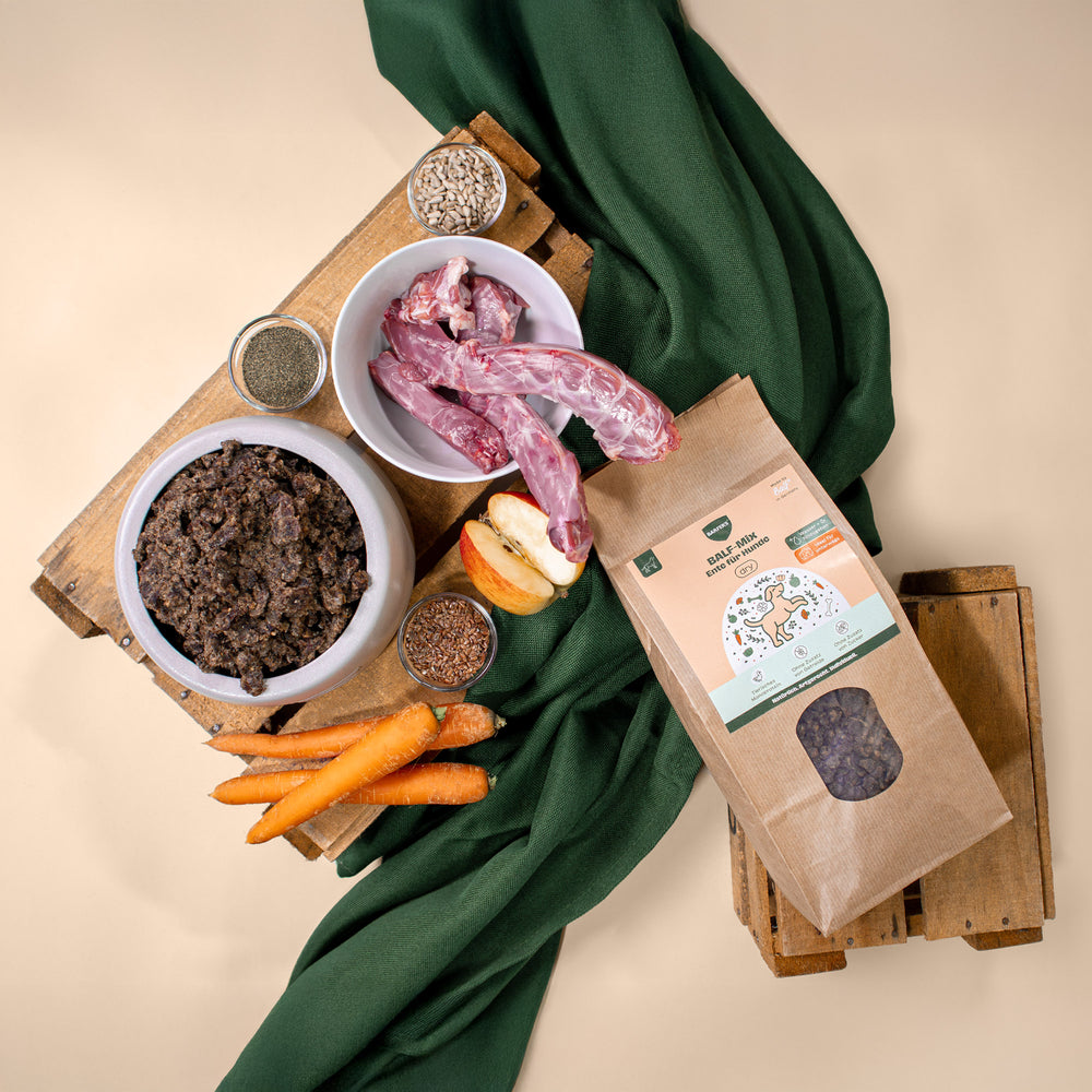Napf und Schalen mit frischen Entenhälsen, Entenherzen, Entenlebern, Möhren, Apfelstück und Saaten neben einer Papierverpackung BALF-Mix Ente für Hunde – sichtbar ist auch das luftgetrocknete Endprodukt im Napf