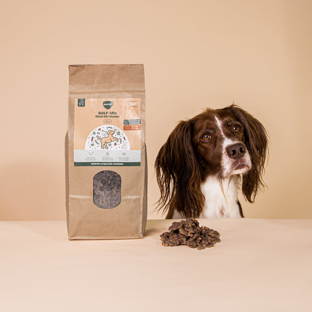 Hund sitzt neben einer Packung BARFER’S BALF-Mix Rind für Hunde – luftgetrocknetes BARF-Trockenfutter mit Rindermuskelfleisch, Rinderpansen, Rinderblättermagen, Rinderlunge, Rinderleber, Rindermilz, Rinderniere, Rinderknochen und pflanzlichen Zusätzen wie Leinkuchen, Apfeltrester und Seealgenmehl