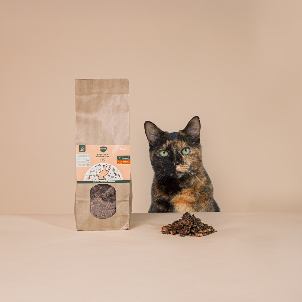 Katze sitzt hinter einer 500g Tüte vom BARFER’S BALF-Mix Rind für Katzen – luftgetrocknetes Fertigbarf mit hohem Anteil an Rindfleisch und Monoprotein-Qualität