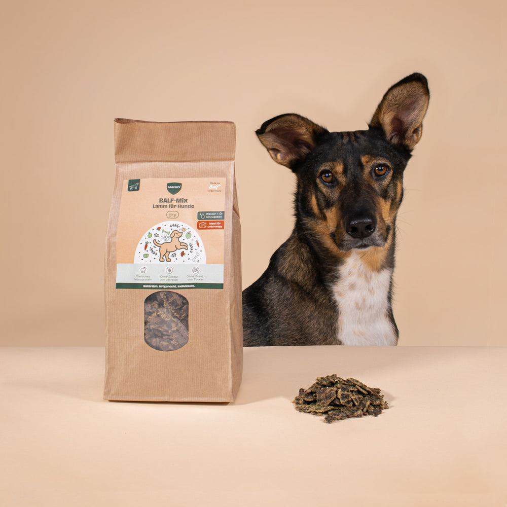 BALF-Mix Lamm für Hunde