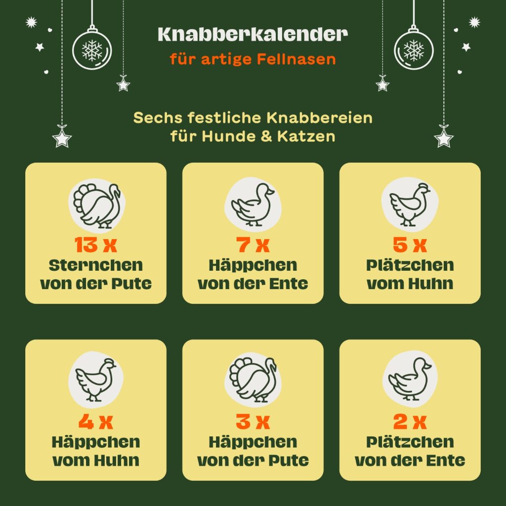 Grafische Übersicht des BARFER’S Knabberkalenders für artige Fellnasen mit sechs festlichen Snacks für Hunde und Katzen: Sternchen und Häppchen aus Pute, Ente und Huhn in verschiedenen Mengen