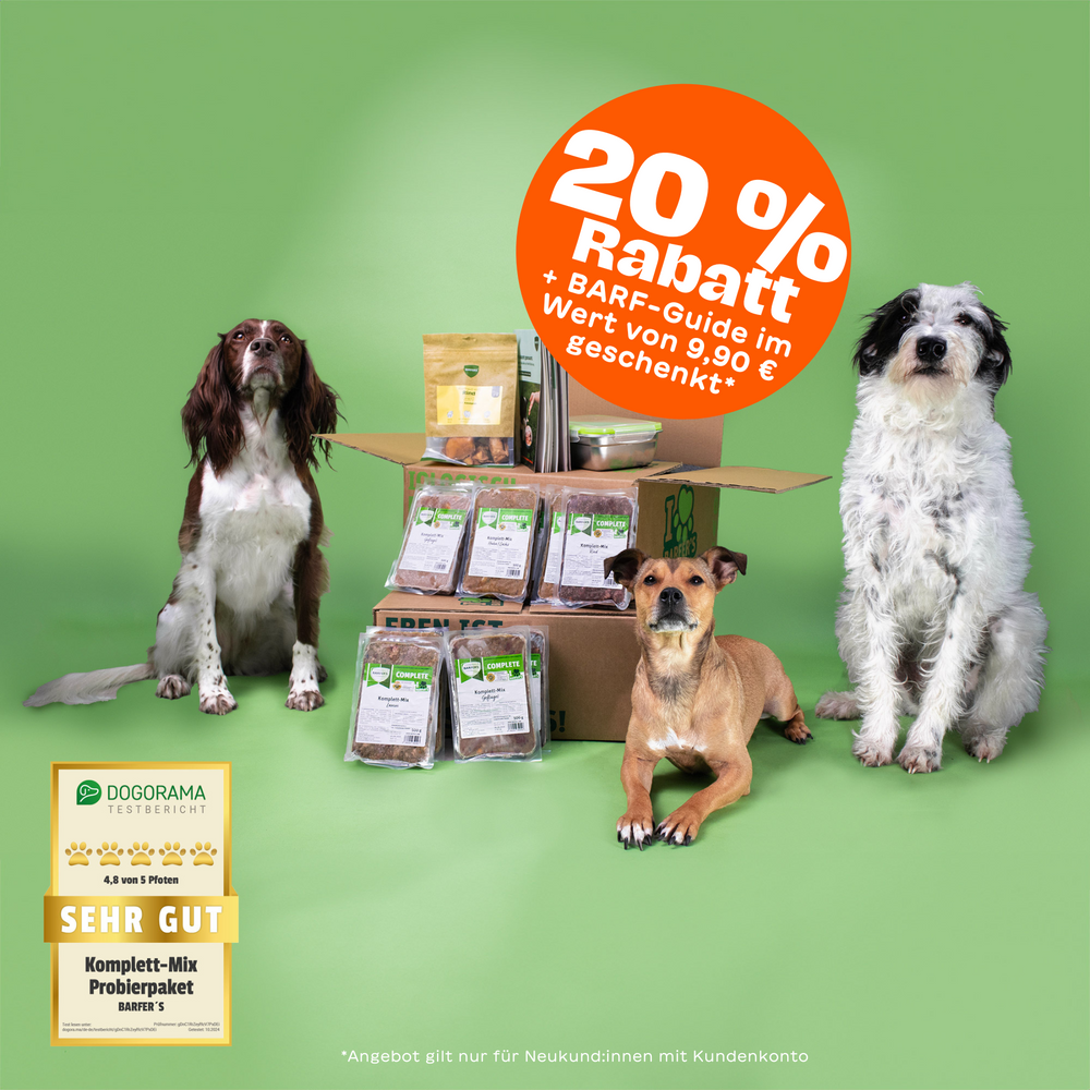 Drei Hunde sitzen und liegen um ein offenes Paket mit dem BARFER’S Probierpaket Adult für Hunde – gut sichtbar sind die Komplett-Mixe Rind, Geflügel, Lamm sowie Kaninchen & Lamm, ein BARF-Guide im Wert von 9,90 €, ein Überraschungssnack und eine Frischhaltedose – links unten im Bild: Dogorama Testbericht ‚Sehr gut – 4,8 von 5 Pfoten‘ für das Komplett-Mix Probierpaket