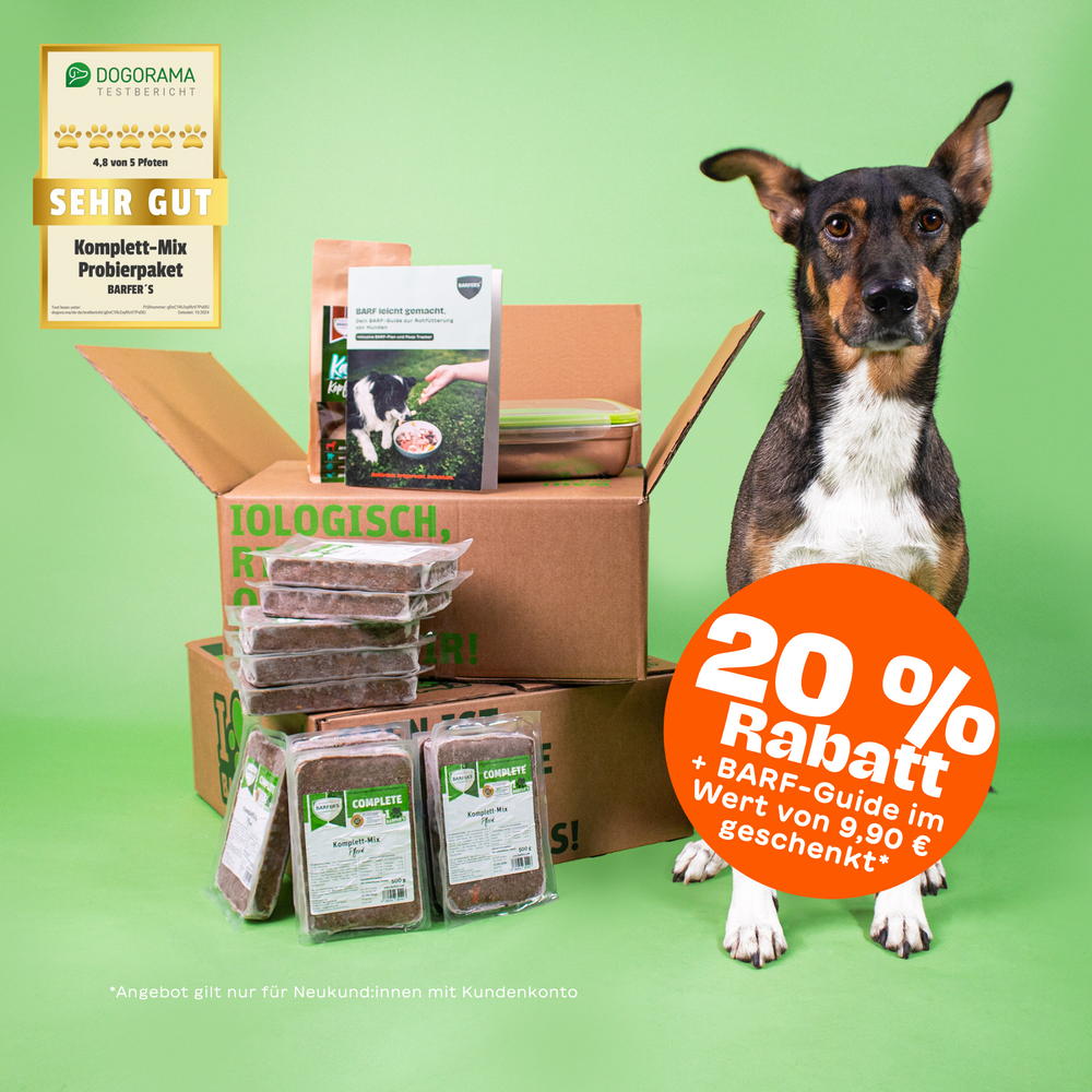 Hund sitzt neben einem geöffneten Paket mit dem BARFER’S Probierpaket Pferd für Hunde – sichtbar sind Komplett-Mixe in 500-g-Verpackungen, der BARF-Guide, eine Frischhaltedose und der Hinweis auf 20 % Rabatt für Neukund:innen. Oben links ein Hinweis auf den Dogorama-Testbericht „SEHR GUT (4,8 von 5 Pfoten)