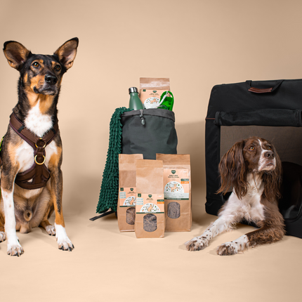 Zwei Hunde neben BARFER’S Trockenbarf-Produkten im Beutel – praktische BARF-Alternative für unterwegs und Reisen