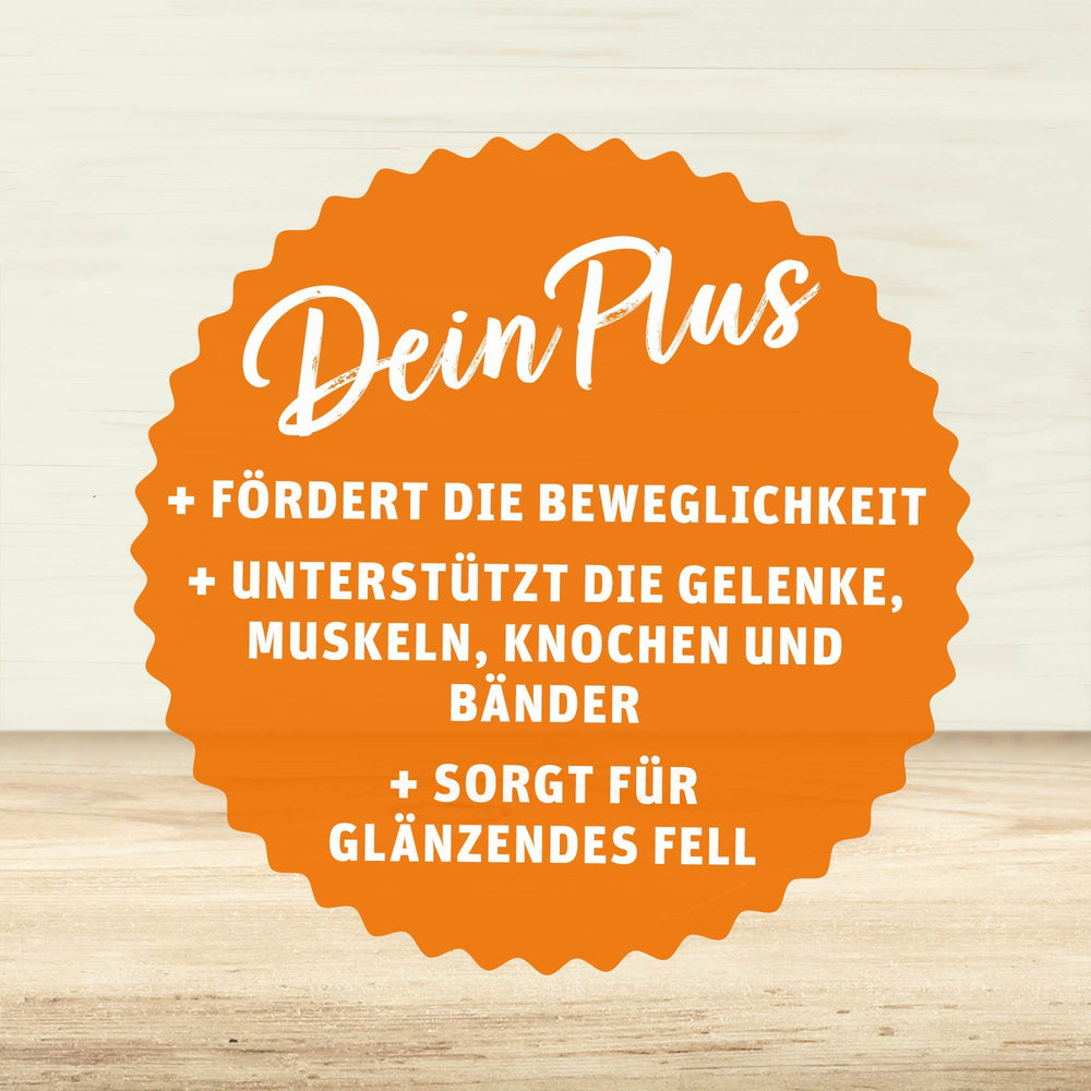 Orangefarbenes Siegel mit der Aufschrift ‚Dein Plus‘ und den Vorteilen: Fördert die Beweglichkeit, unterstützt die Gelenke, Muskeln, Knochen und Bänder, sorgt für glänzendes Fell
