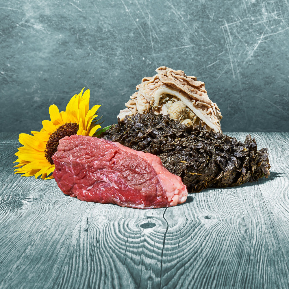 Rohe BARFER’S Aktiv-Mix Rind Zutaten im Überblick – grüner Rinderpansen, Rinderstichfleisch und Rinderblättermagen