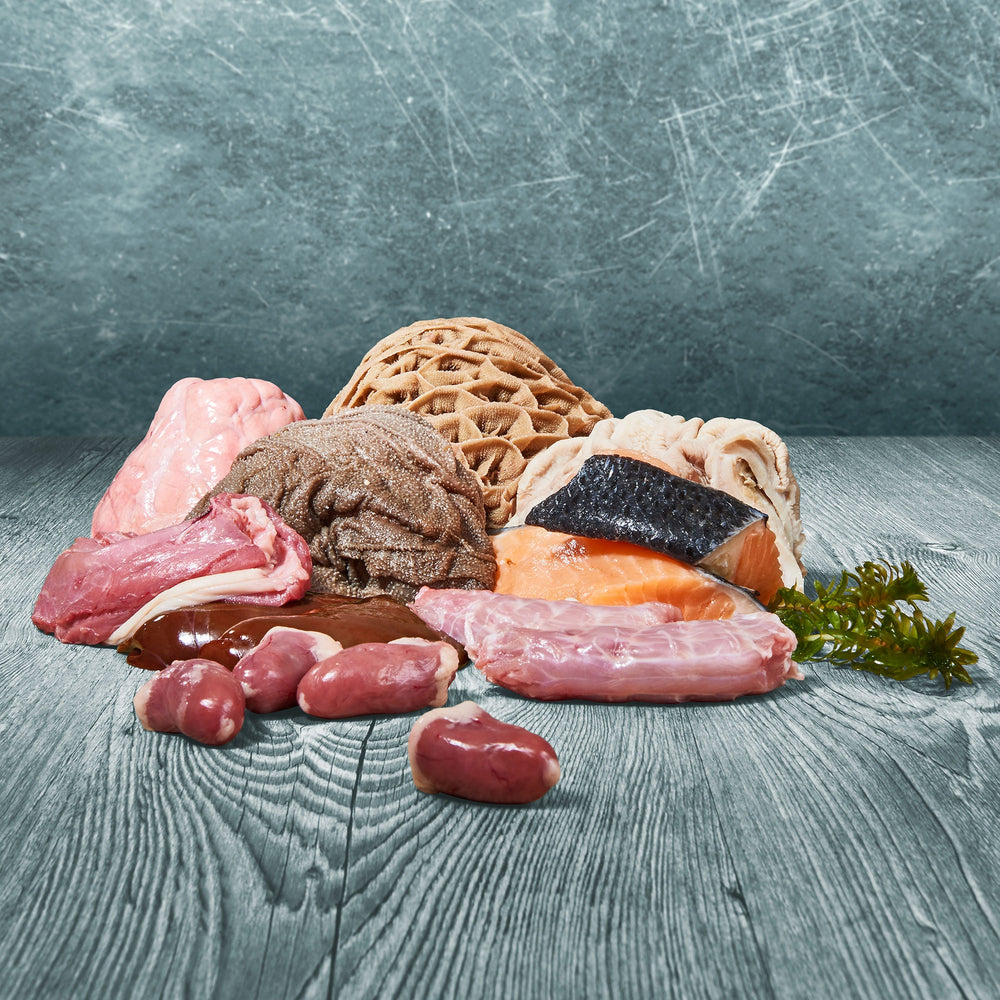 BARFER’S Fleisch-Mix Fisch mit Huhn und Rind Zutaten im Überblick – Lachsfilet mit Haut, Hühnerhals, Rinderschlund, Rinderpansen, Rinderlunge, Rinderblättermagen, Hühnerherzen und Hühnerleber, roh und frisch präsentiert mit grünen Gräsern auf grauer Holzoberfläche
