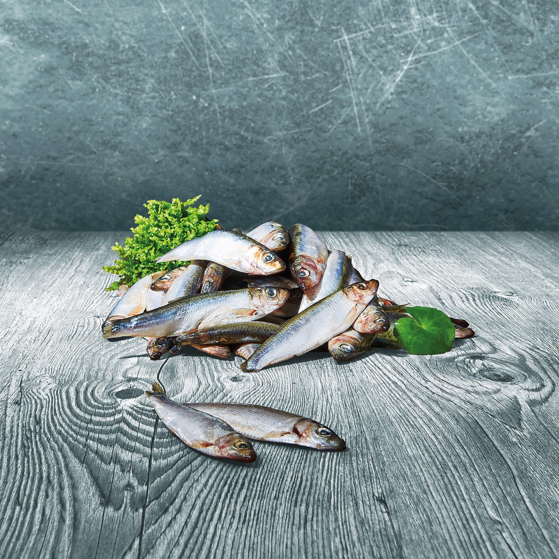 Ganze BARF-Sprotten auf grauer Holzoberfläche mit grünem Dekoblatt und Kräuterzweig