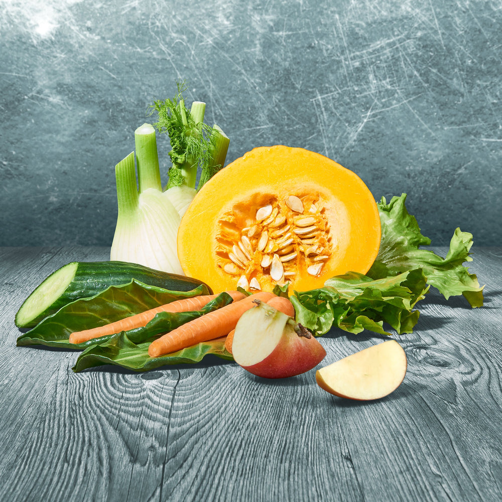 Frische Zutaten des BARFER’S Basis-Mix Gemüse: Kürbis, Eisbergsalat, Gurke, Möhren und Apfelhälften auf grauer Holzoberfläche