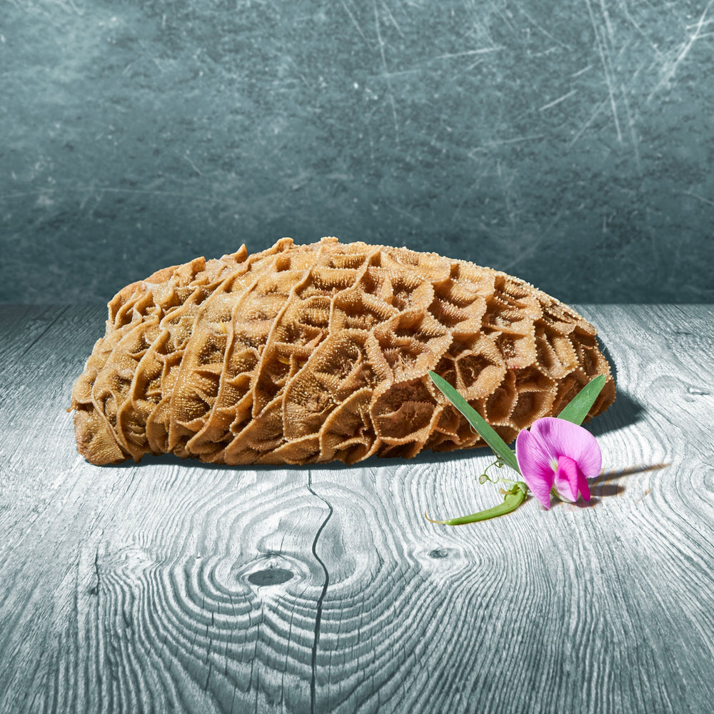 Stück frischer grüner BARF-Rinderpansen auf Holztisch mit Blüte dekoriert