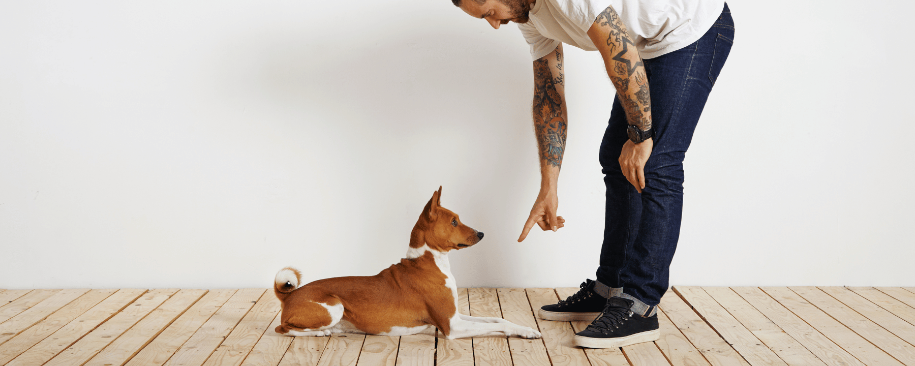 Mann gibt Hund Kommando