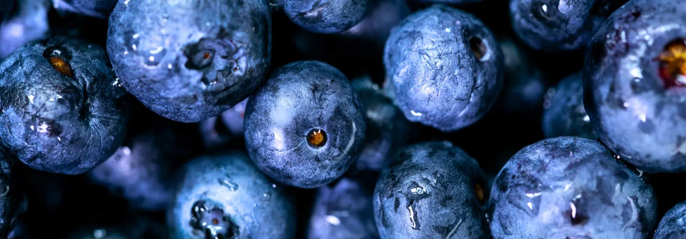 Nahaufnahme von frischen Blaubeeren