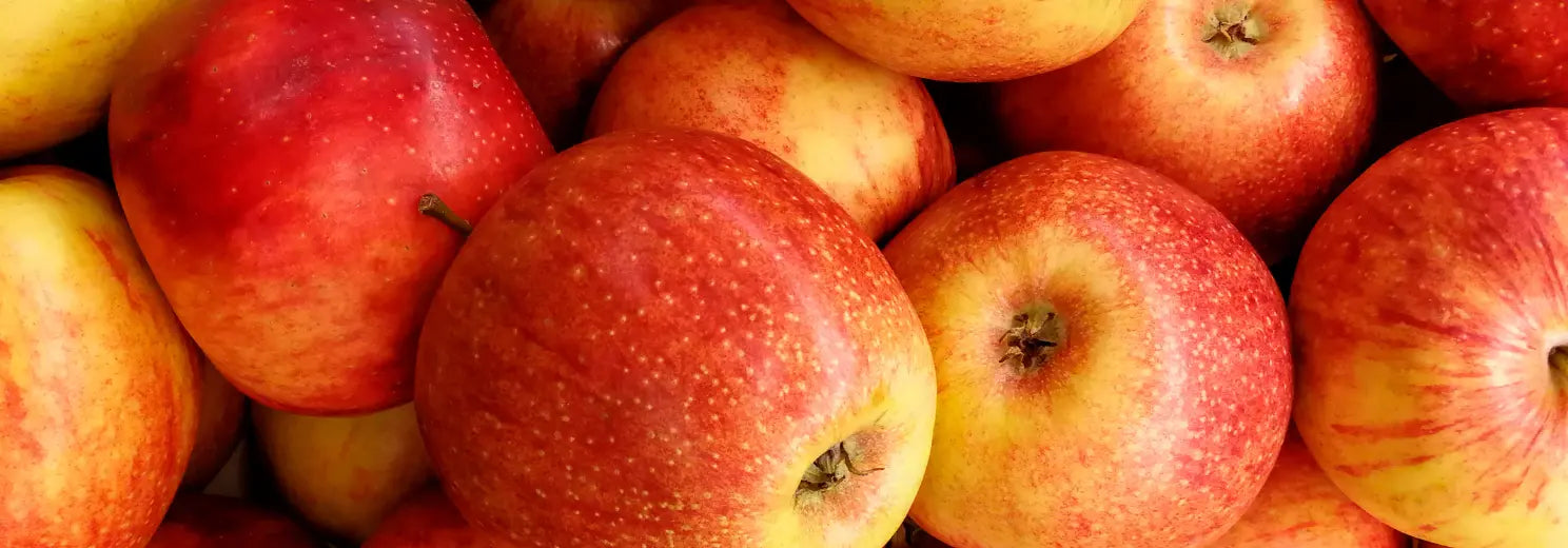 Dürfen Hunde Apfel essen?