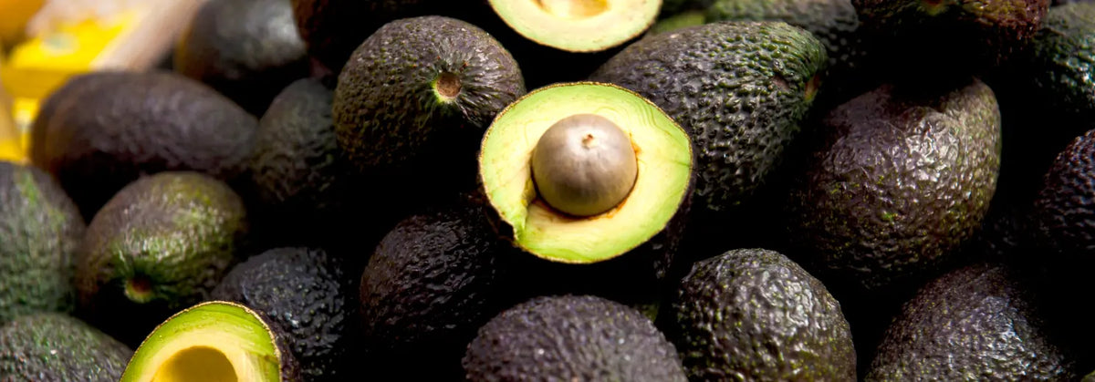 Eine aufgeschnittene Avocado liegt auf mehreren anderen Avocados