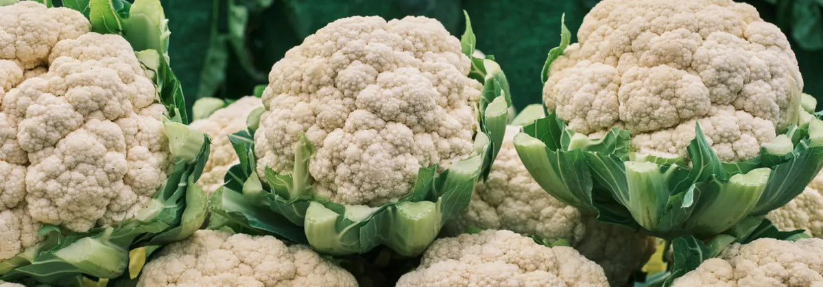 Mehrere ganze Blumenkohlköpfe mit grünen Blättern dicht nebeneinander