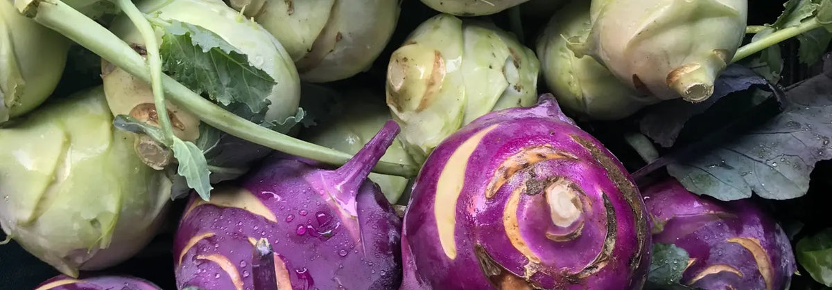 Grüne und violette Kohlrabi-Knollen dicht nebeneinander