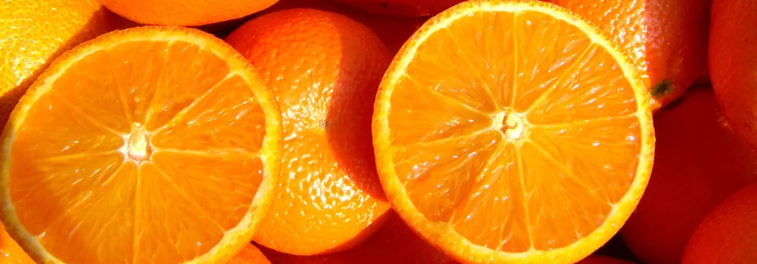 Dürfen Hunde Orangen essen?