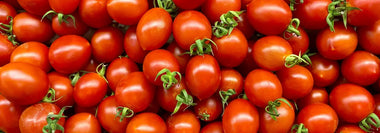 Viele reife rote kleine Tomaten mit grünen Stilen