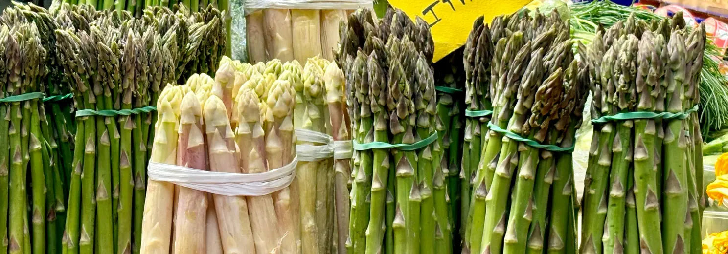 Dürfen Hunde Spargel essen?