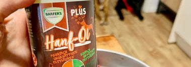 Vorteile von Hanföl für Hunde
