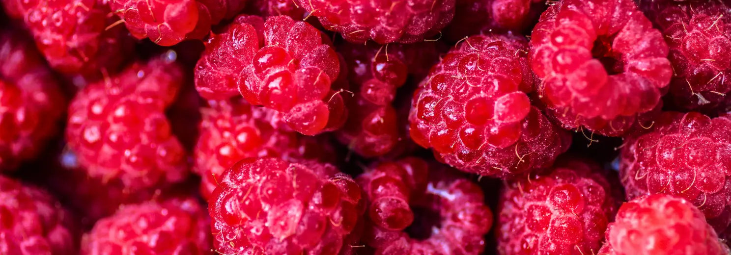 Nahaufnahme von frischen Himbeeren