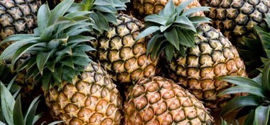 Mehrere Ananas Früchte liegen nebeneinander