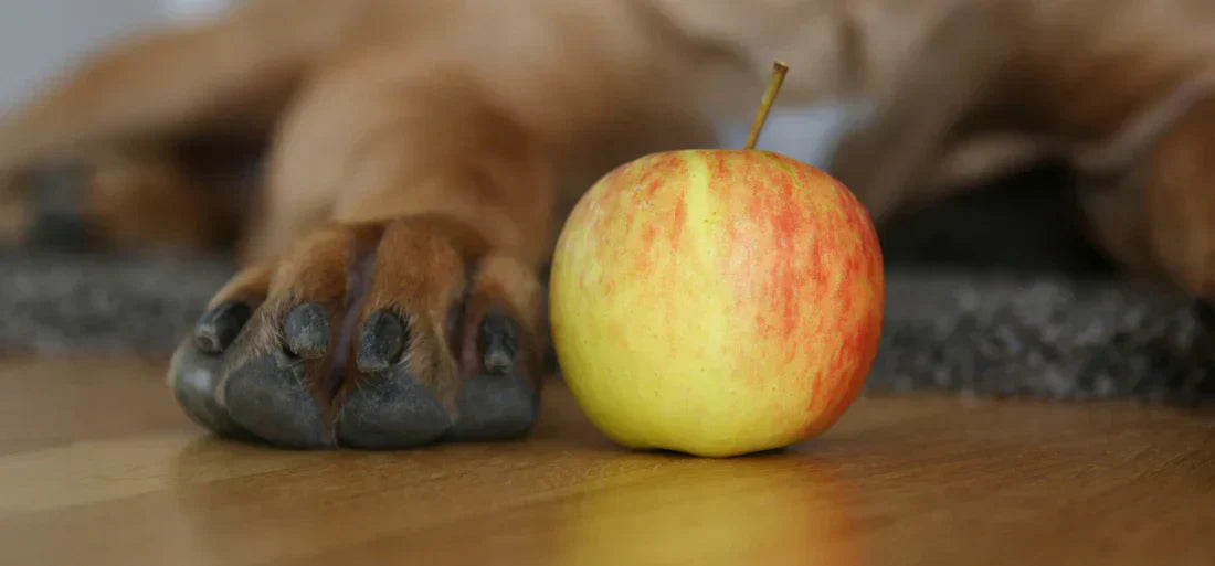 Eine Pfote neben einem Apfel