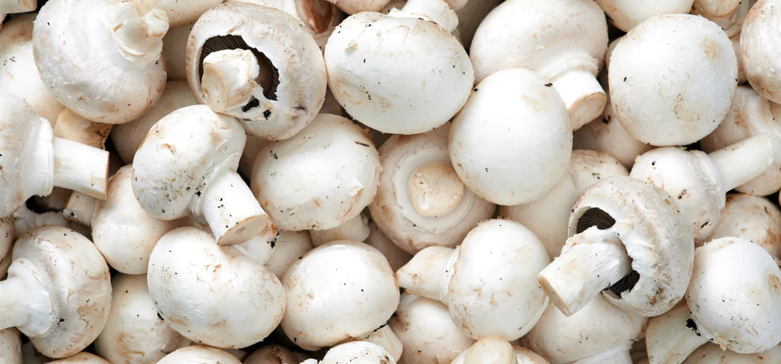 Ein Haufen weißer Champignons