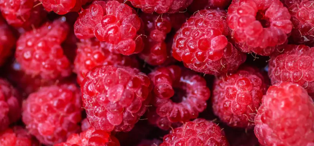 Ein Haufen Himbeeren