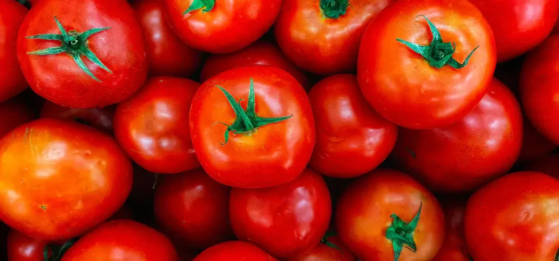 ein Haufen Tomaten