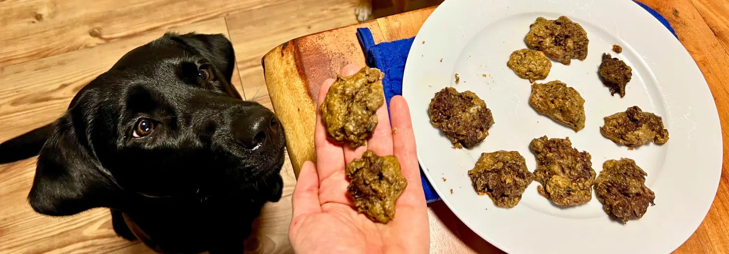 Rindfleisch-Crunchies für Hunde backen mit nur 4 Zutaten