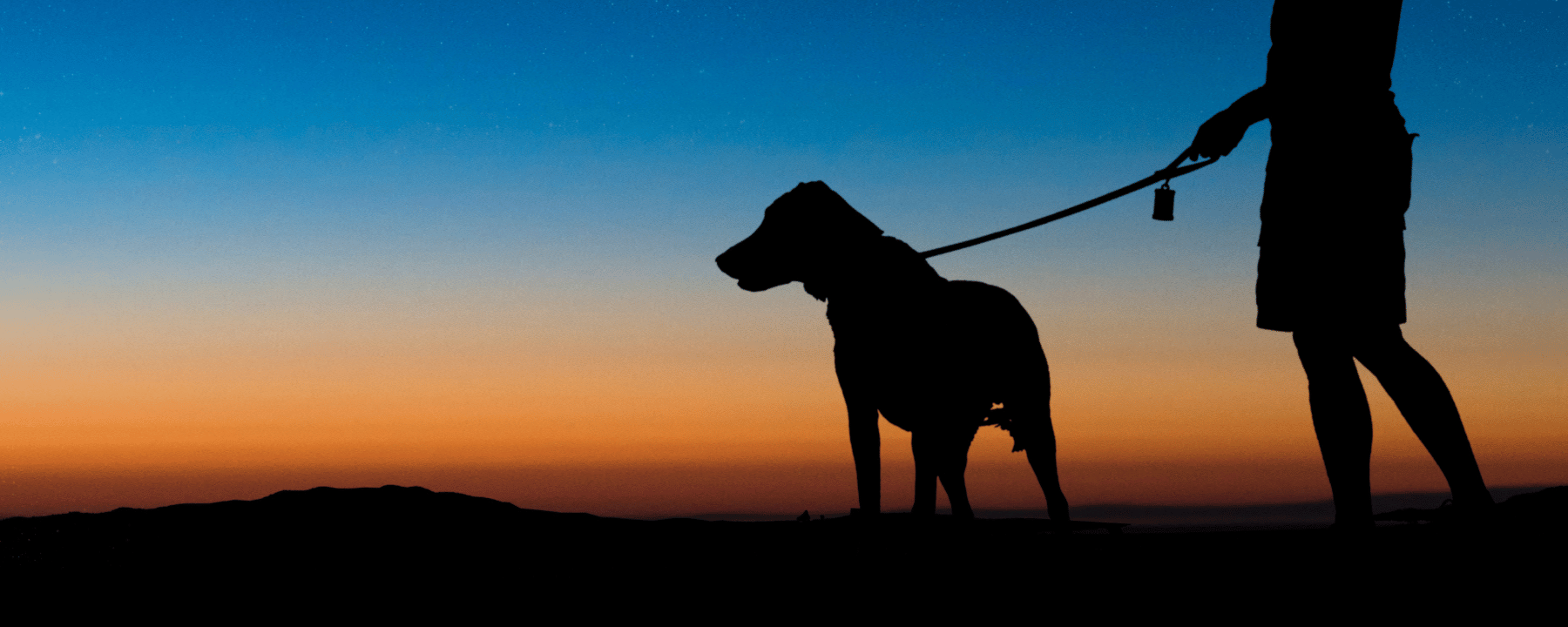 Ein Hund und sein Halter beim nächtlichen Spaziergang
