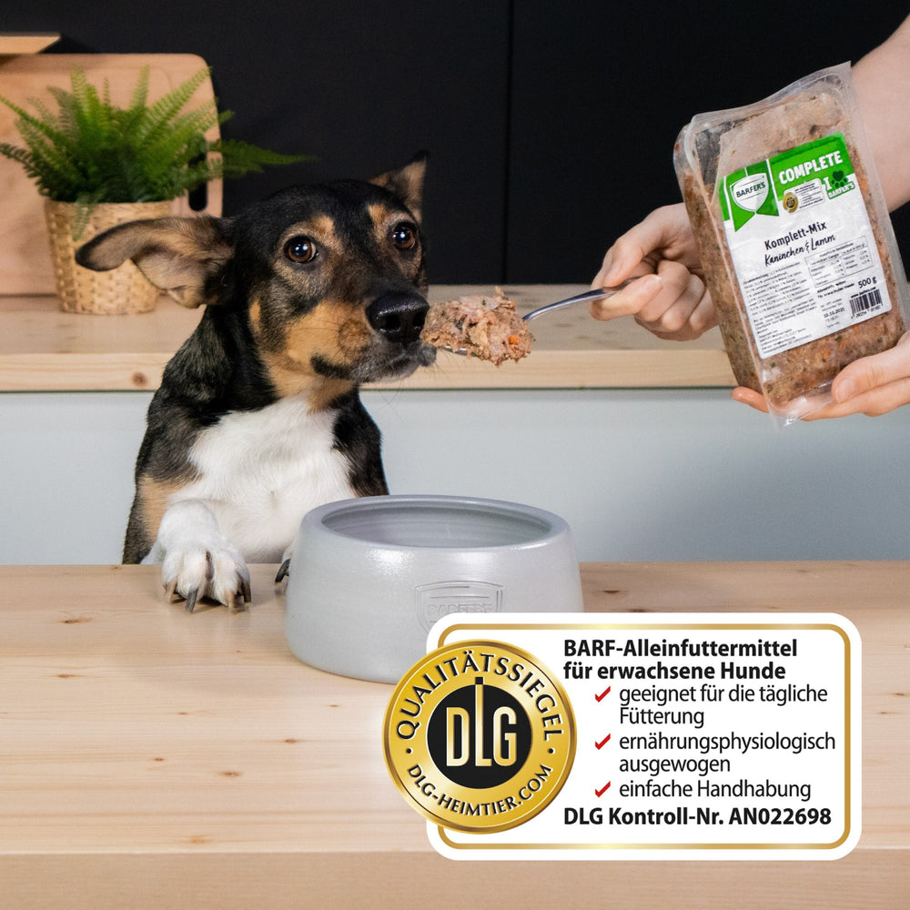 Hund mit BARFER’S COMPLETE Komplett-Mix Kaninchen & Lamm in einerHand – DLG-zertifiziertes Alleinfuttermittel für erwachsene Hunde, geeignet für die tägliche Fütterung