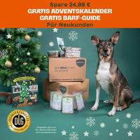 Hund sitzt neben BARFER’S Versandkartons mit Komplett-Mixen, BARF-Guide und Adventskalender vor einem geschmückten Weihnachtsbaum – Angebot für Neukund:innen mit gratis Adventskalender und gratis BARF-Guide