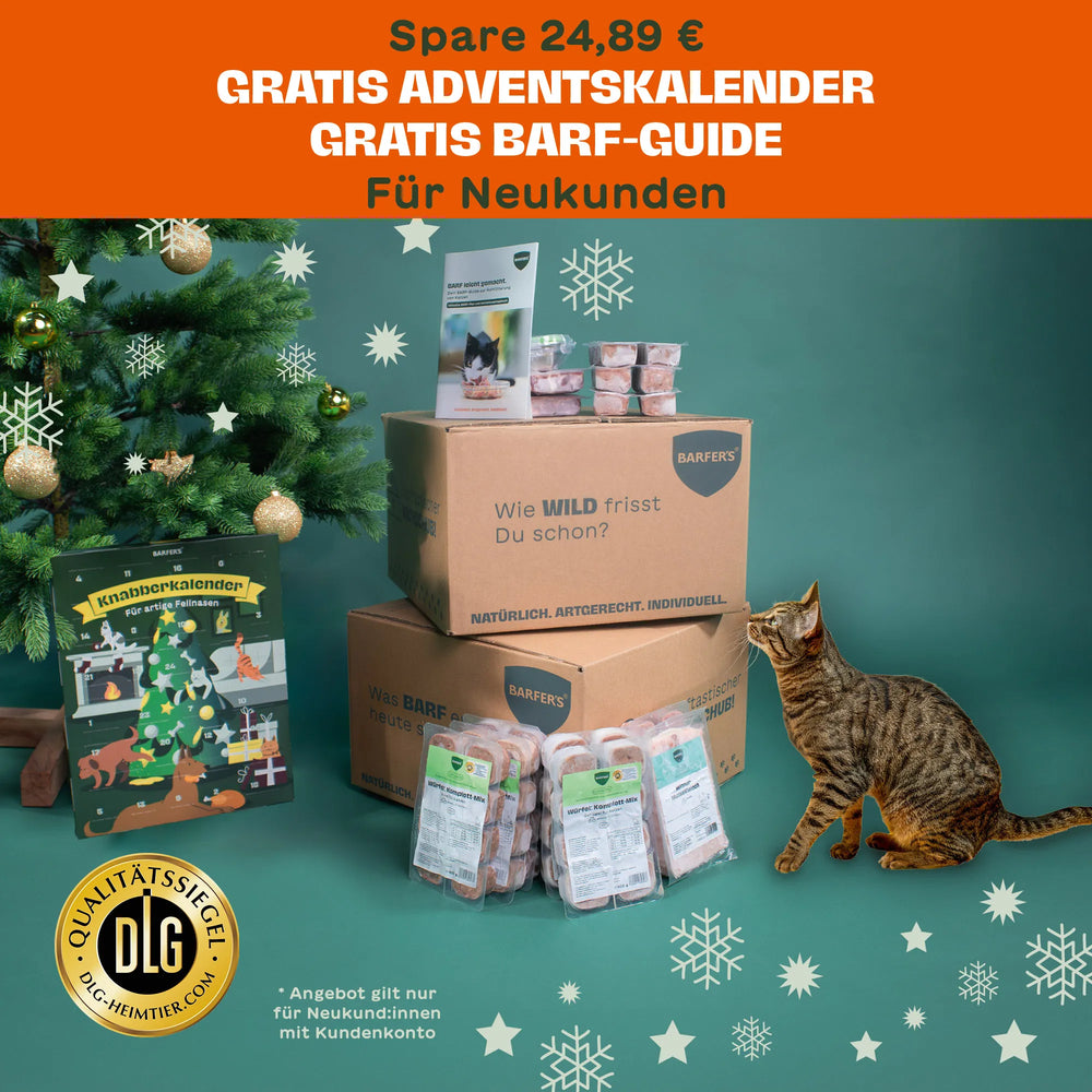 Katze sitzt neben BARFER’S Versandkartons mit Komplett-Mixen, BARF-Guide und Adventskalender vor einem geschmückten Weihnachtsbaum – gratis Adventskalender und BARF-Guide für Neukund:innen
